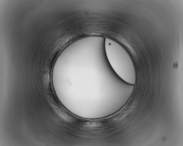 X0000100190541200805300727