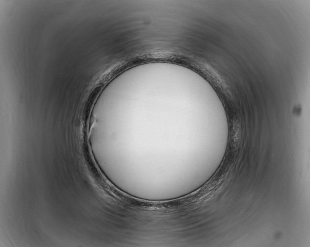 X0000100190542200805300727