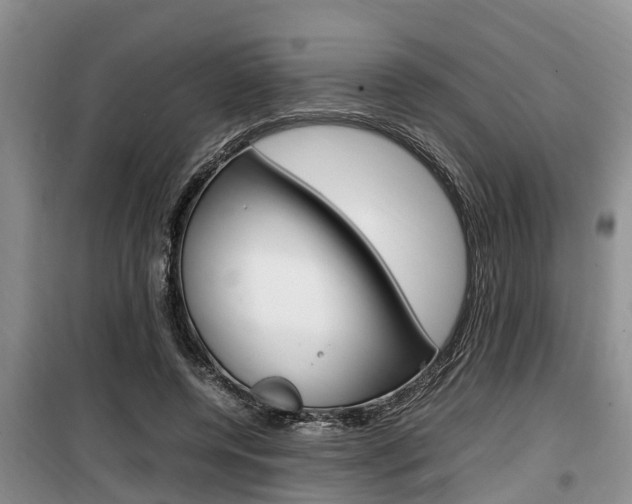 X0000100190544200805300727