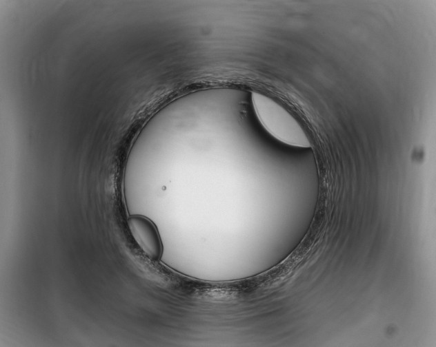 X0000100190546200805300727