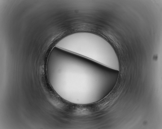 X0000100190547200805300727