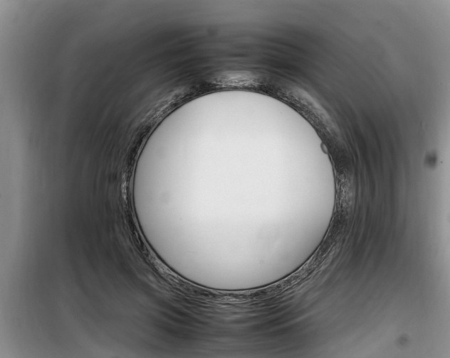 X0000100190549200805300727