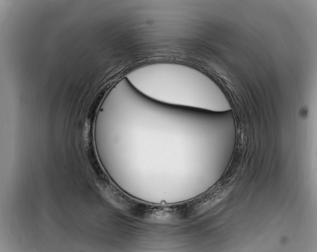 X0000100190550200805300727