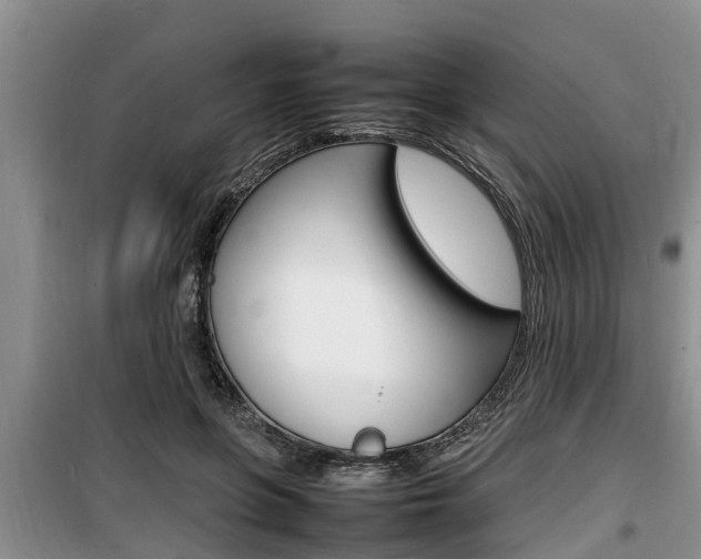 X0000100190551200805300727