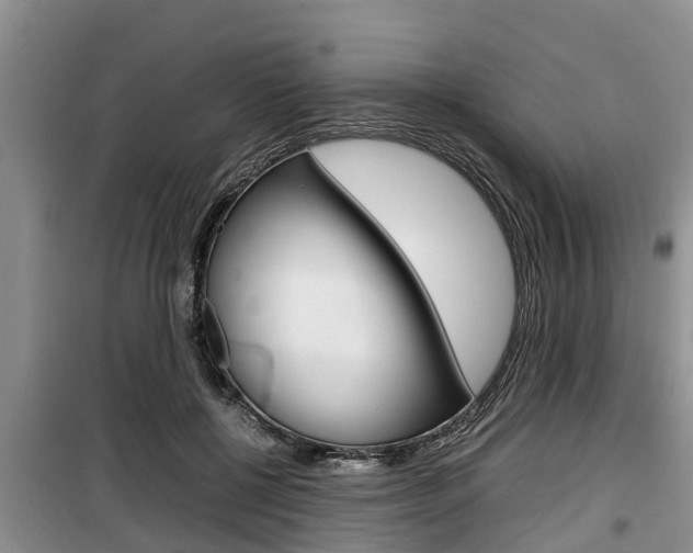 X0000100190552200805300727