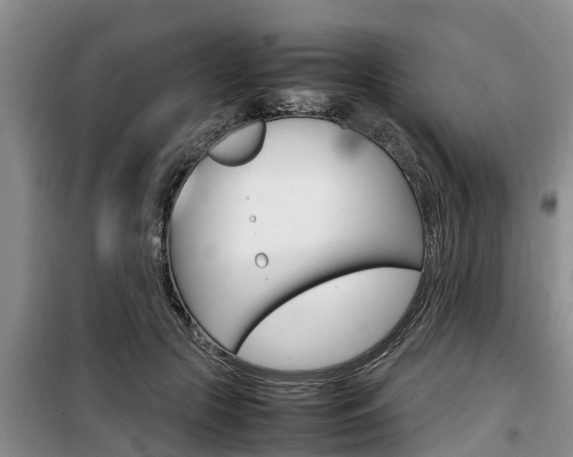 X0000100190553200805300727