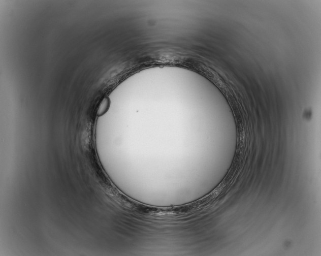 X0000100190554200805300727