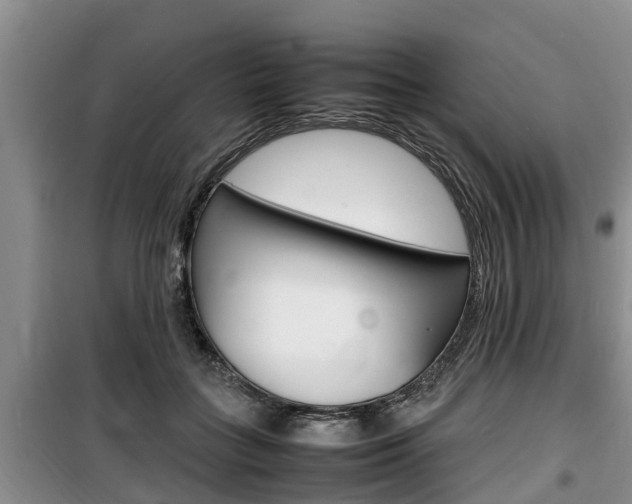 X0000100190555200805300727