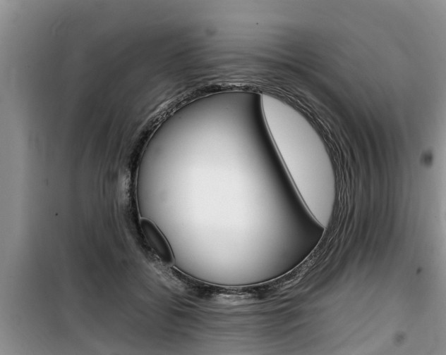 X0000100190556200805300727