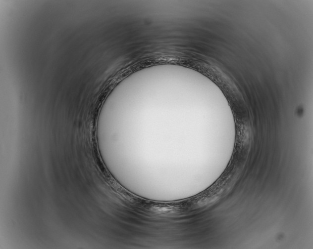 X0000100190557200805300727
