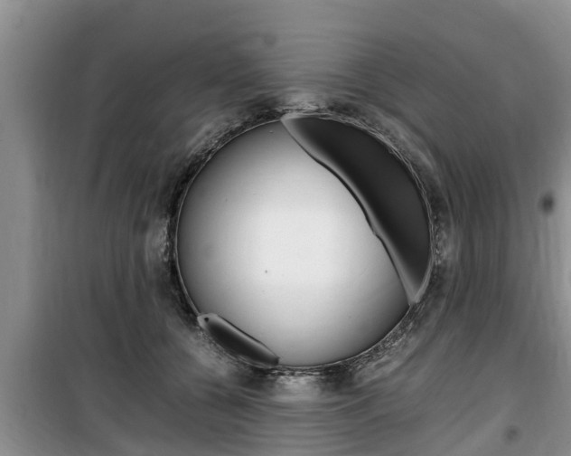 X0000100190560200805300727