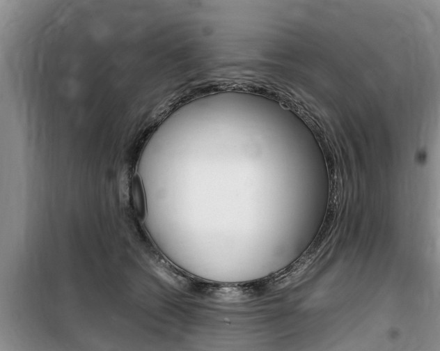 X0000100190562200805300727