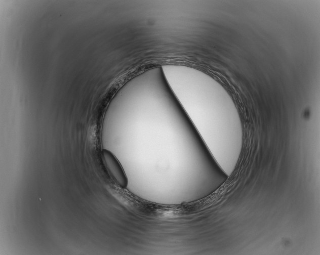 X0000100190564200805300727