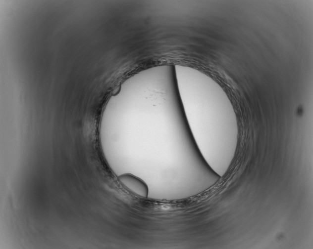X0000100190565200805300727