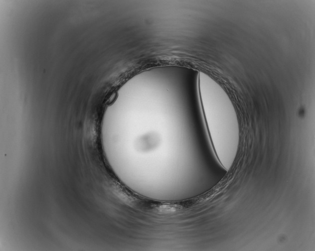X0000100190566200805300727