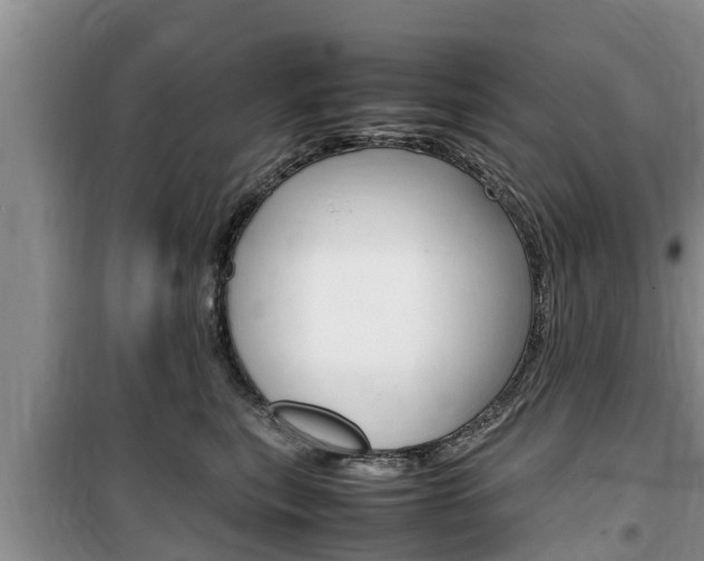 X0000100190567200805300727