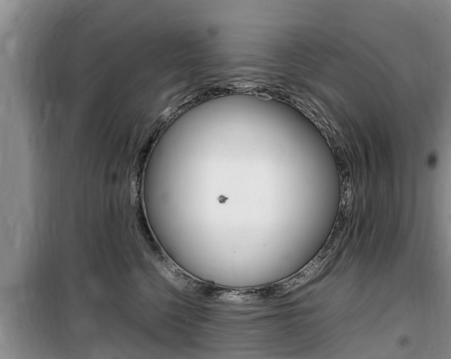 X0000100190568200805300727