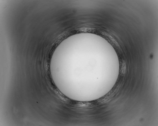 X0000100190569200805300727