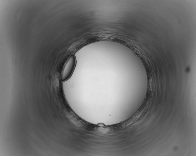 X0000100190570200805300727