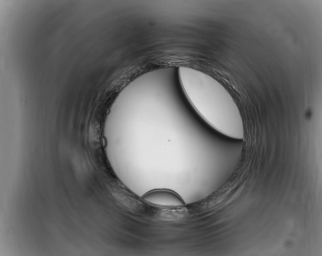 X0000100190571200805300727