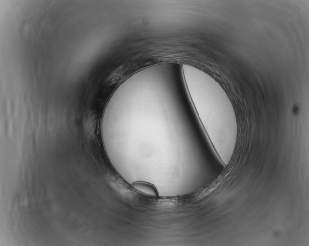 X0000100190574200805300727