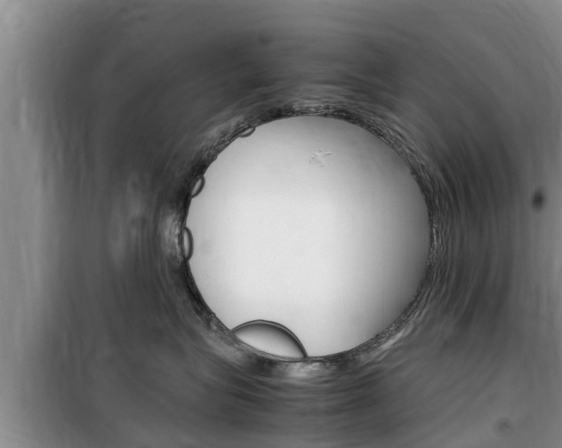 X0000100190575200805300727