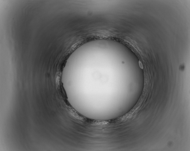 X0000100190576200805300727