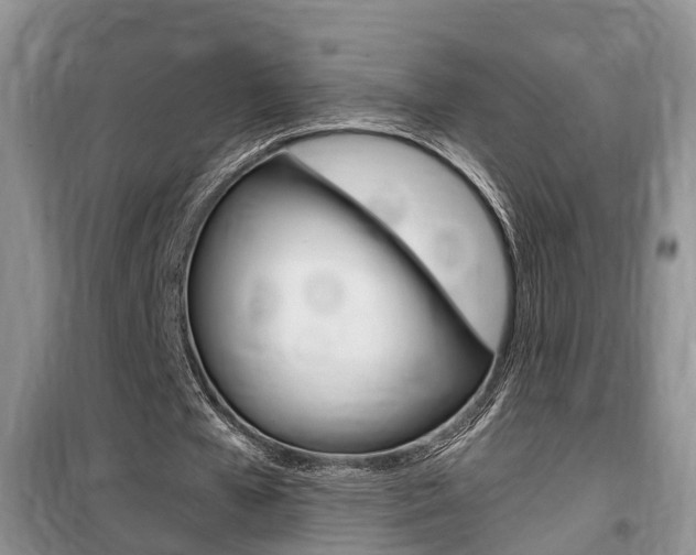 X0000100190577200805300726