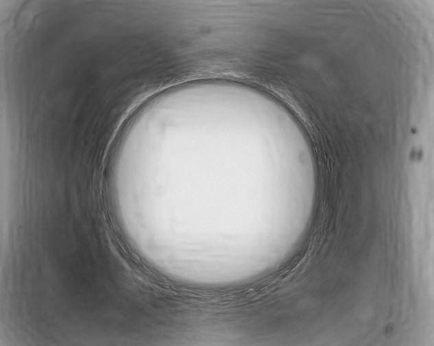 X0000100190579200805300726