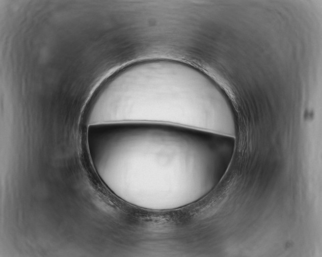 X0000100190580200805300726