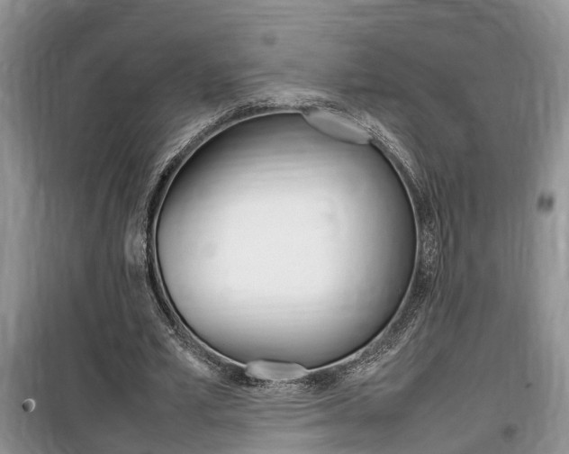 X0000100190581200805300726