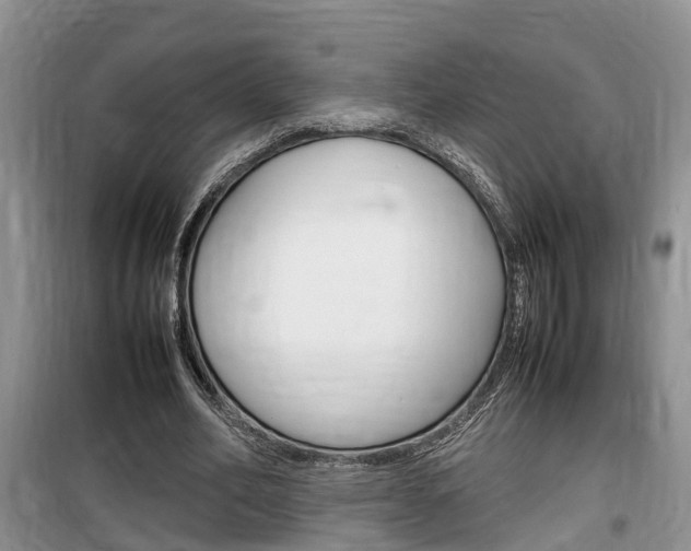 X0000100190582200805300726