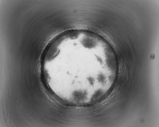 X0000100190584200805300726