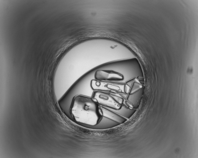 X0000100190585200805300726