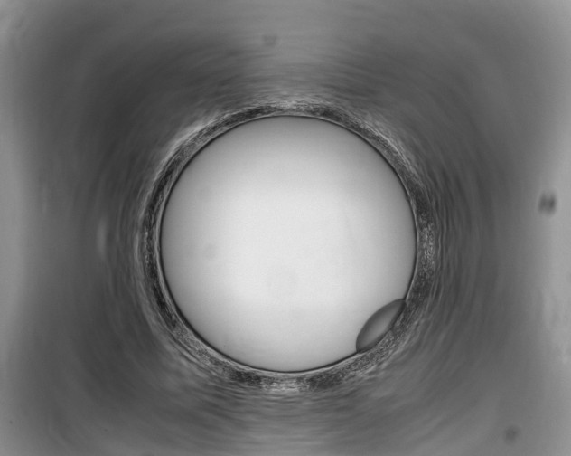 X0000100190587200805300726