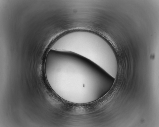 X0000100190588200805300726