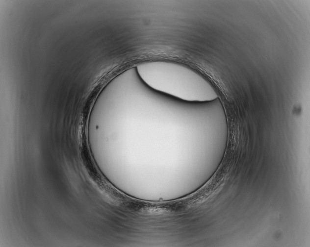 X0000100190590200805300726