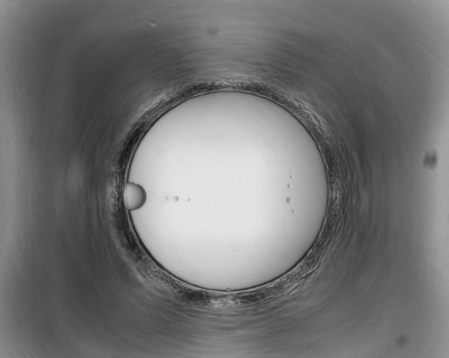 X0000100190591200805300726