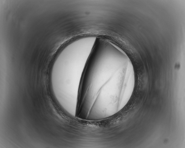 X0000100190592200805300726