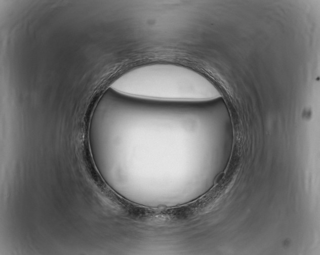 X0000100190593200805300726