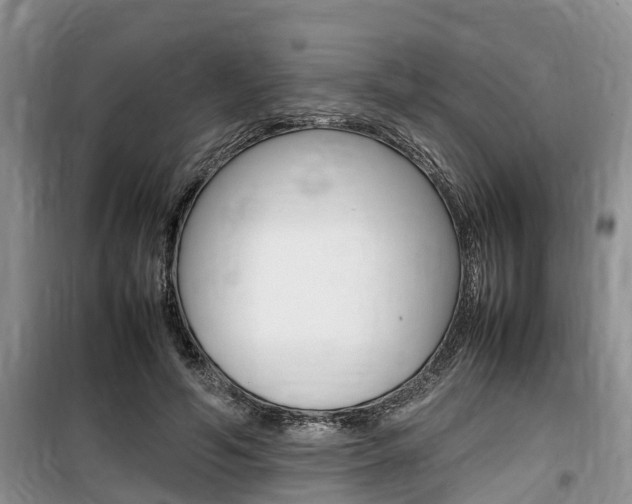 X0000100190594200805300726