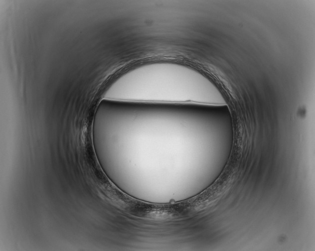 X0000100190596200805300726