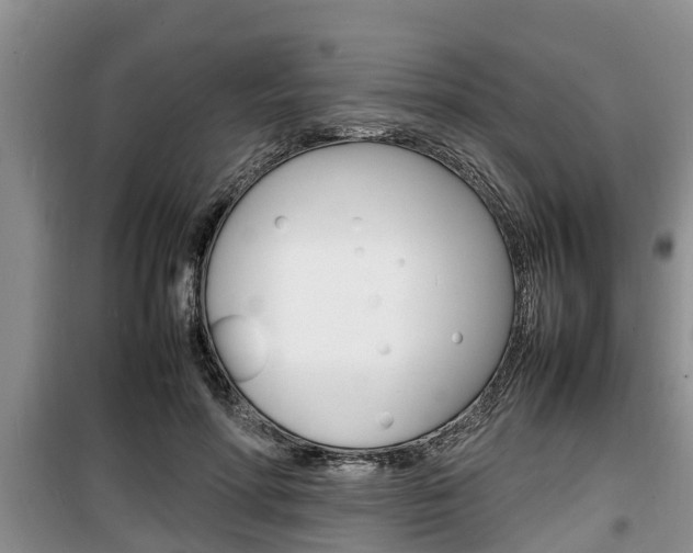 X0000100190598200805300726