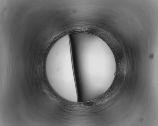 X0000100190600200805300726