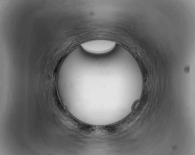 X0000100190601200805300726