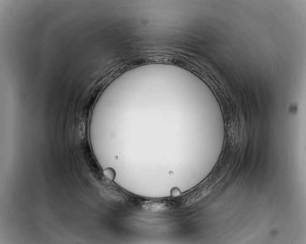 X0000100190602200805300726