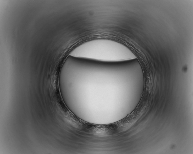 X0000100190604200805300726