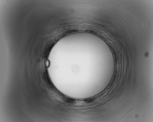 X0000100190605200805300726
