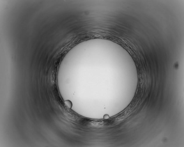 X0000100190606200805300726
