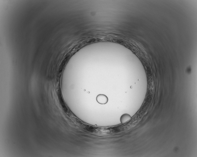 X0000100190607200805300726